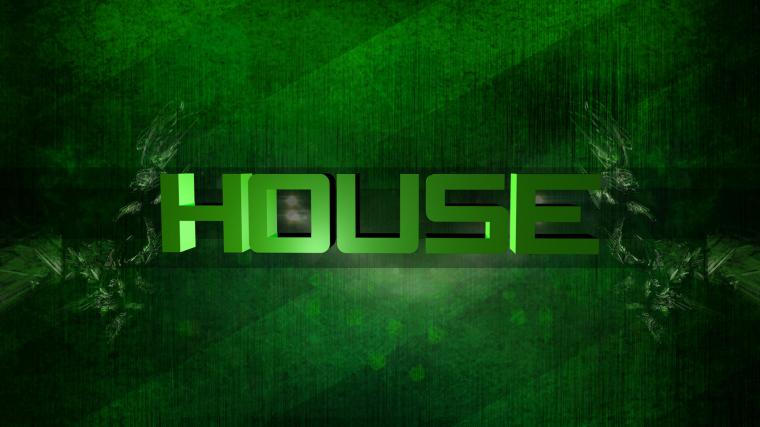 House (13)